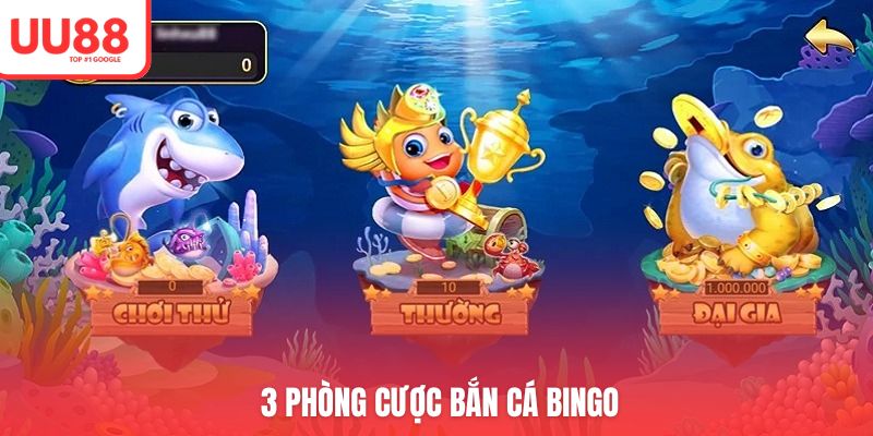 3 phòng cược bắn cá Bingo không nên bỏ lỡ