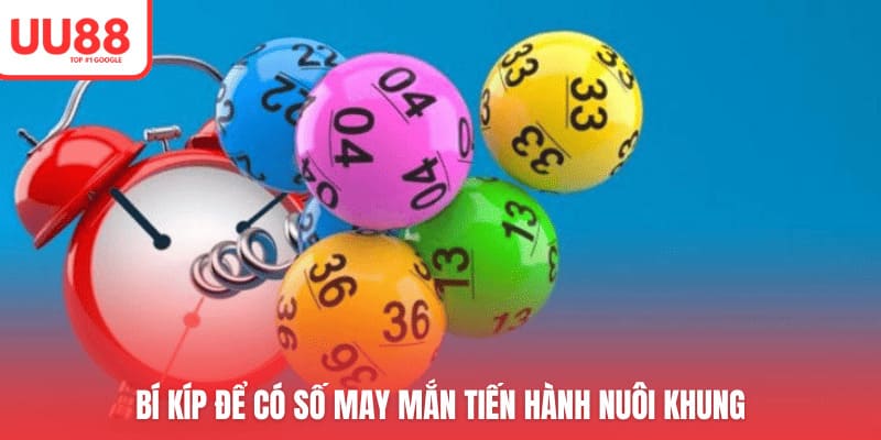 Bí kíp để có số may mắn tiến hành nuôi khung