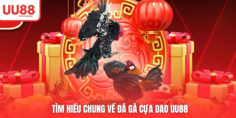 Tìm hiểu chung về đá gà cựa dao UU88